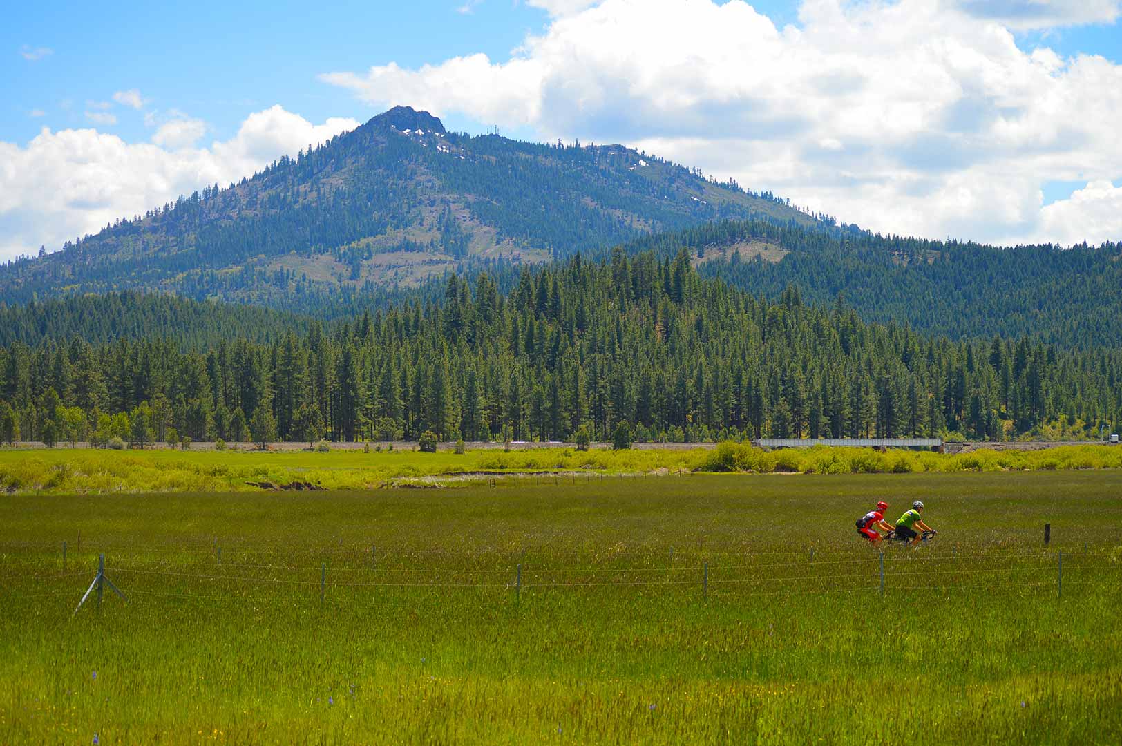 Riders riding in grass with mountains in the background